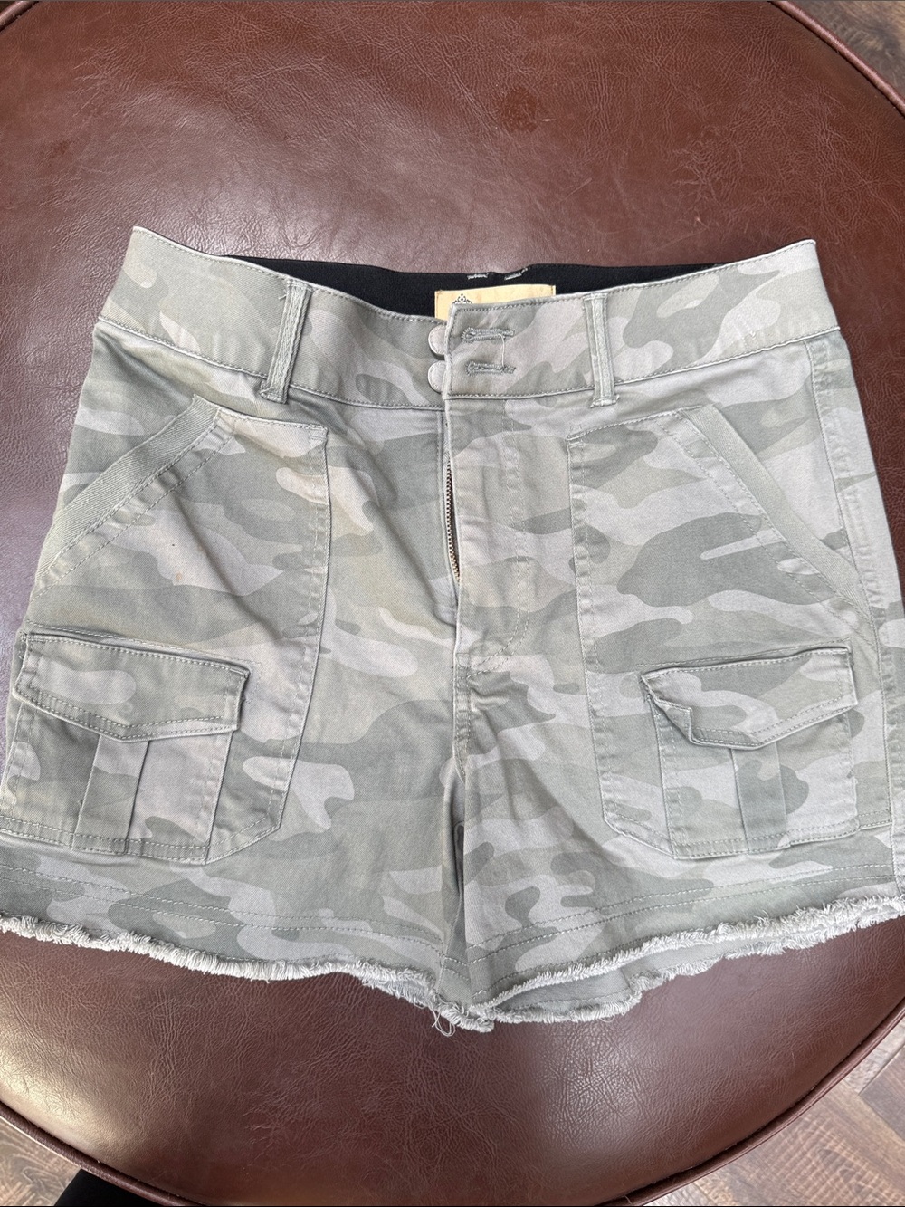 Democracy Light Sage Camo Cargo Shorts